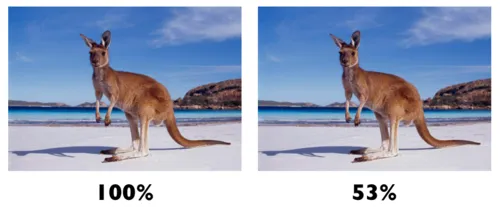 Polish圧縮の品質の例。