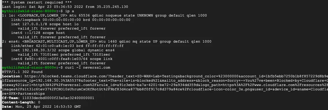 neverssl.comへのリクエストのcURL例